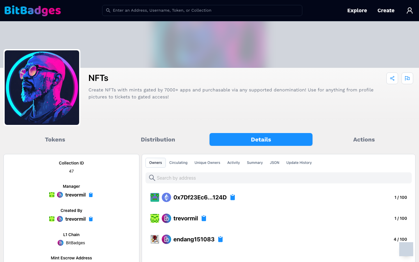 The Details tab with the manager and creator on the left and the Owners sub-tab listing holders and their balances on the right